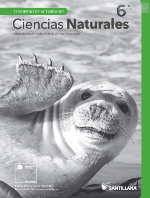 Cuaderno de Actividades Ciencias Naturales 6 Basico 2020 2021